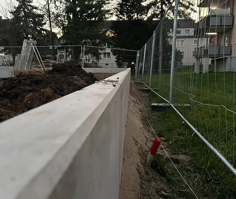 Projekt 8